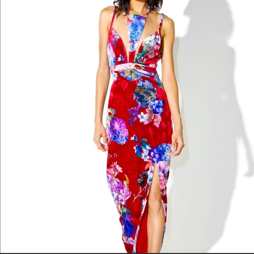 The night walker ziggy dress